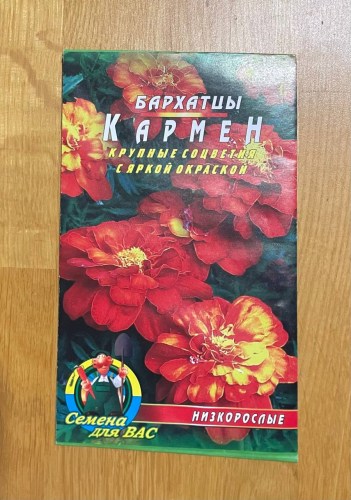 Бархатцы Кармен