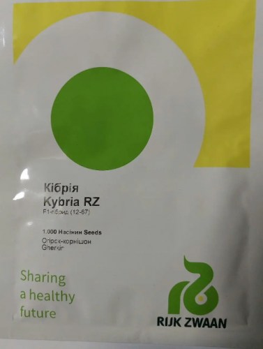 kibriya6