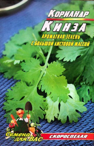 Кинза
