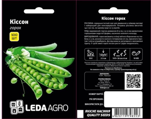kisson-600x474