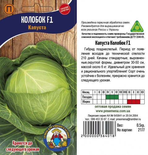 Бархатцы Кармен