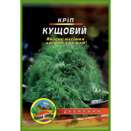 Укроп кустовой