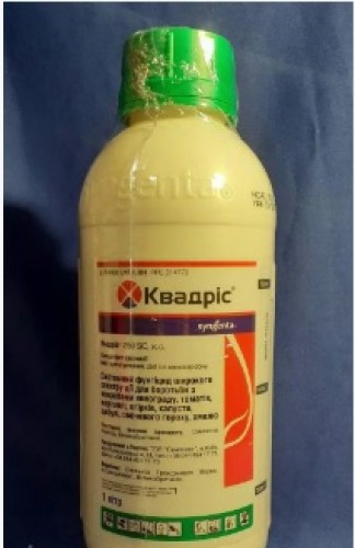 kvadris1l