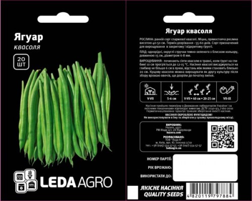 kvasolya-yaguar