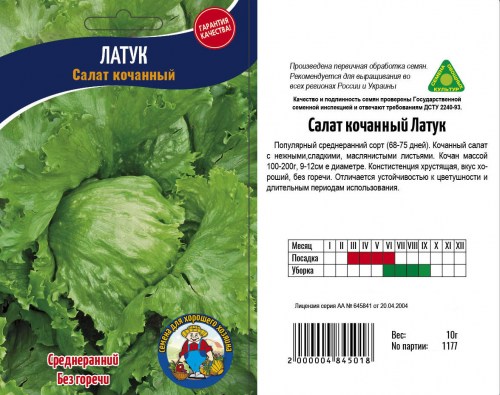 Салат Латук
