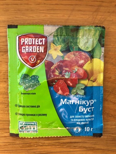 mag1