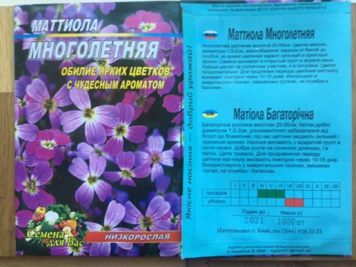 Маттиола Многолетняя
