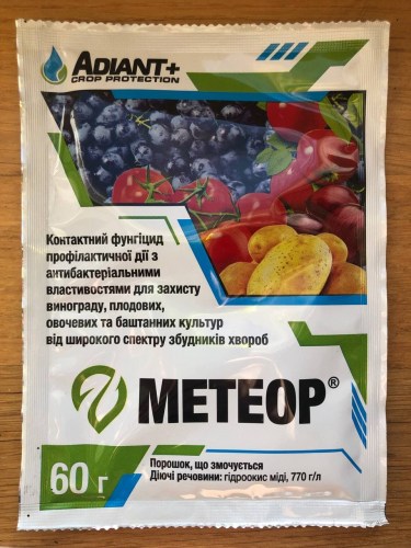 meteor