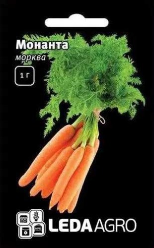 monanta