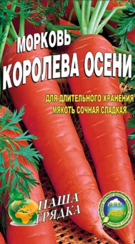 Морковь  Королева осени