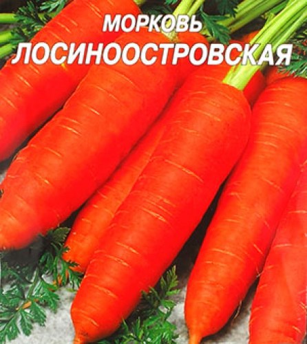 Морковь  Лосиноостровская