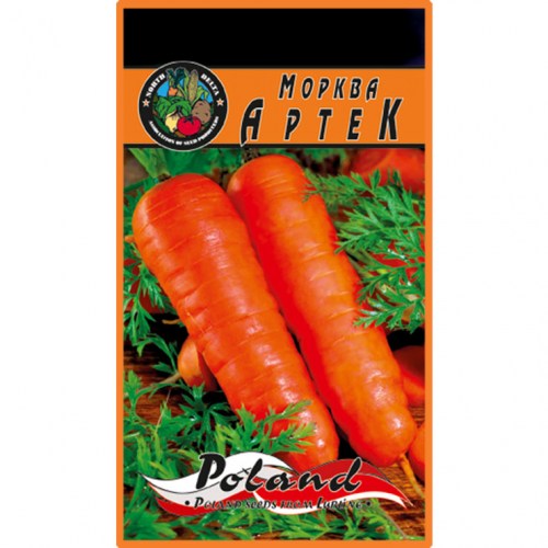 morkva-artek