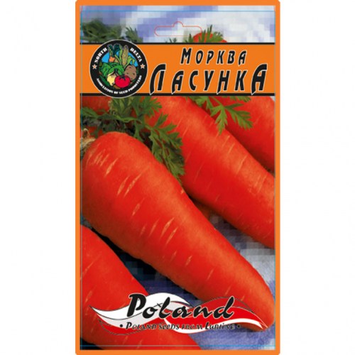 morkva-lasunka