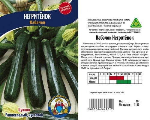 Кабачок Негритенок