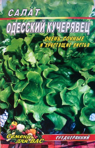 Салат Одесский кучерявец