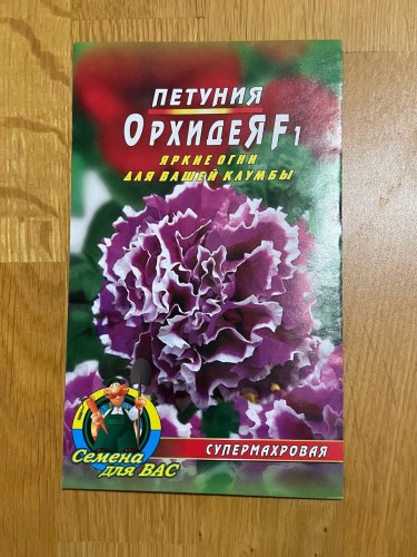 Петуния супермахровая Орхидея