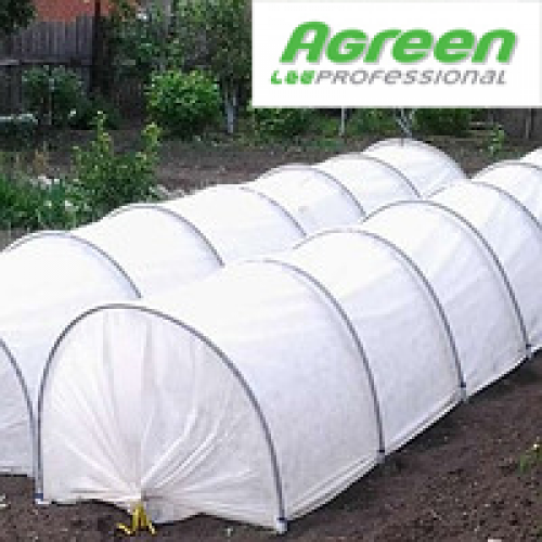 parnik_agreen4