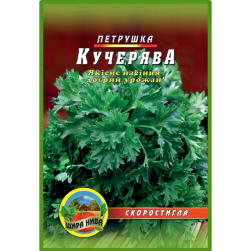 Петрушка  кучерявая