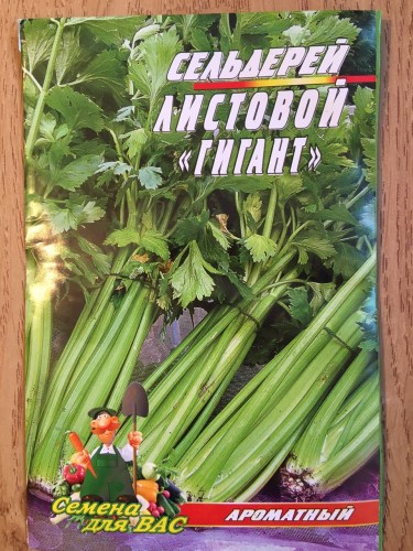 Укроп Лесногородский