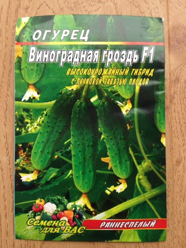 Огурец Виноградная гроздь