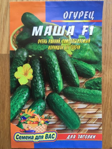 Огурец Маша F1