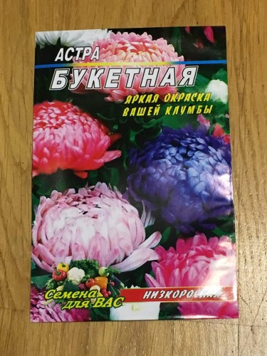 Астра Букетная