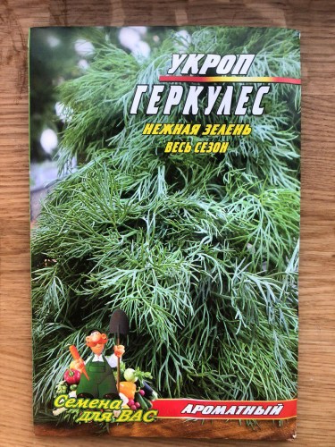 Укроп Геркулес
