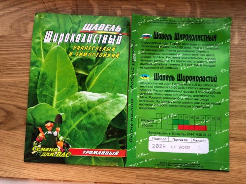 Щавель широколистный