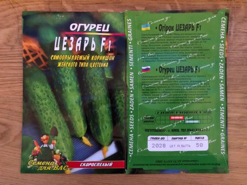 Огурец Цезарь