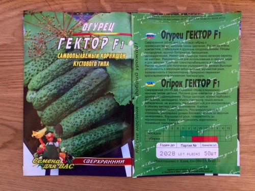 Огурец Гектор F1