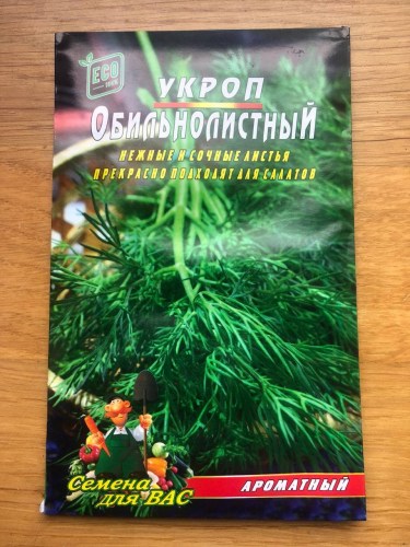 Укроп Аллигатор