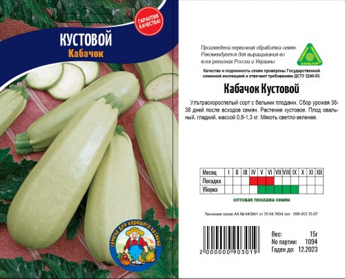 pn-kabachok-kustovoj-bol