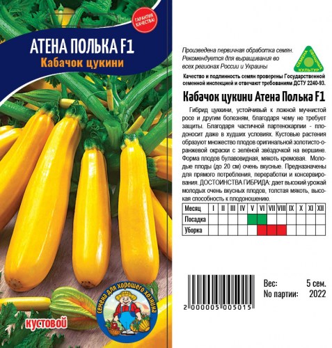polka84