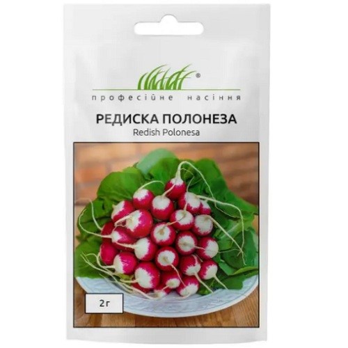 poloneza