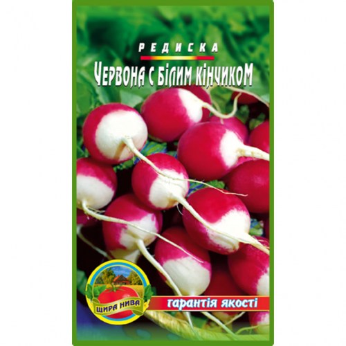 Редис Червоний с Білим кінчиком