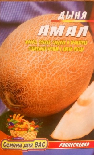 Дыня  Амал