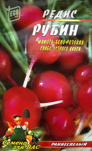 Редис Рубин