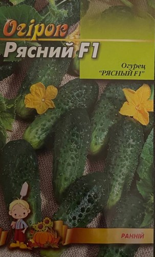 ryasnij7