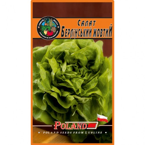 salat-berlinskyj-zhovtyj