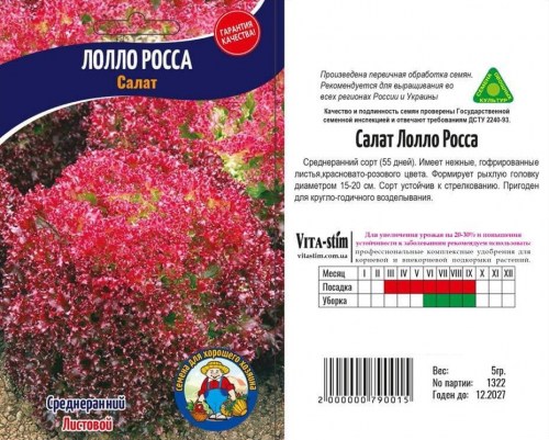 salat-lollo-rossa