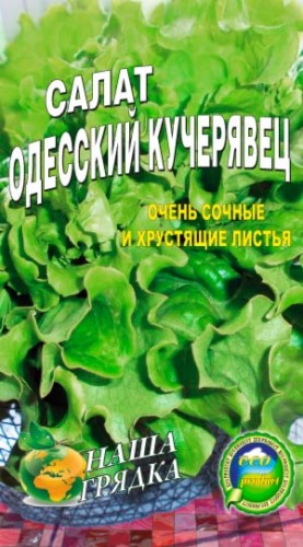 Салат Одесский кучерявец