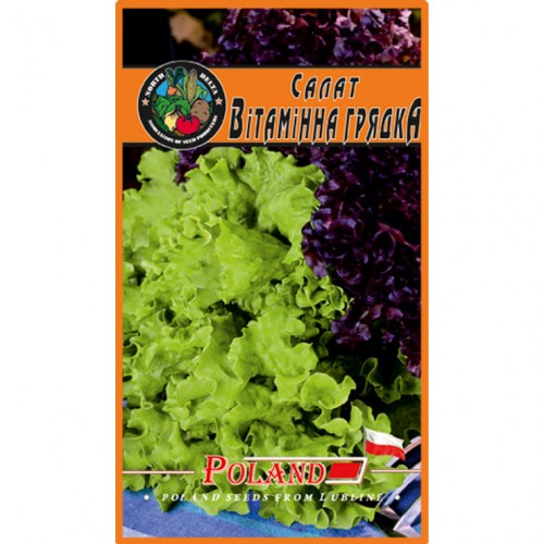 salat-vitaminna-hriadka