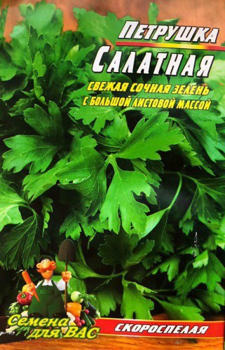 Петрушка Салатная