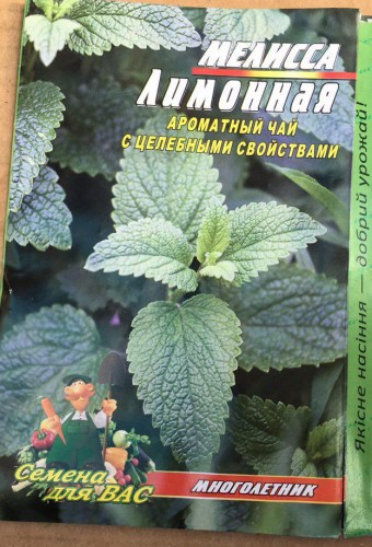 Укроп Лесногородский
