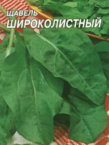 Щавель  широколистный