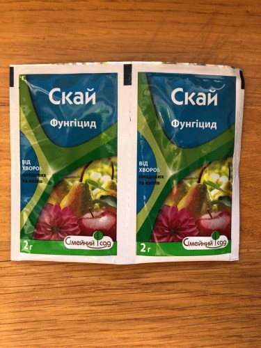 skaj