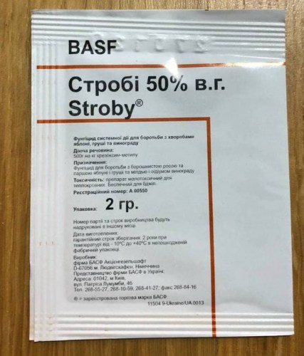 Строби 2г