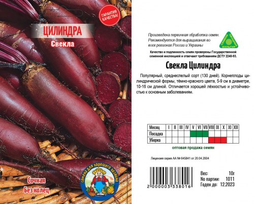 svekla-tsilindra1