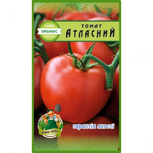 Томат Атласний