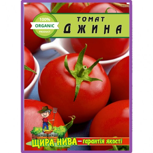 tomat-dzhyna